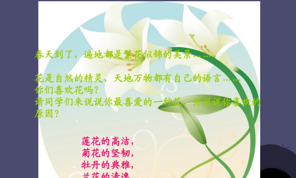 秋六年级语文上册《百合花开》课件3 冀教版-冀教版小学六年级上册语文课件