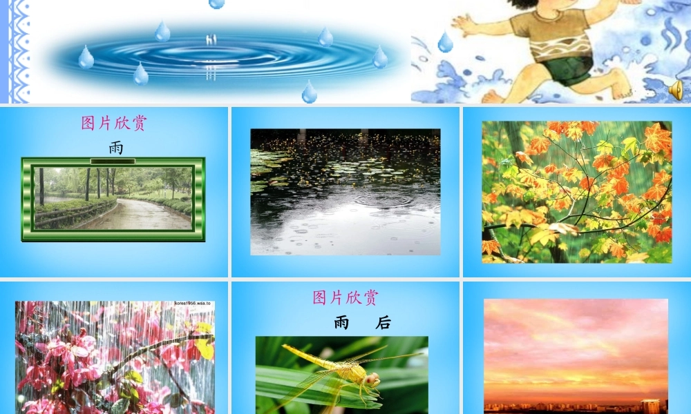 秋三年级语文上册《雨后》课件4 沪教版-沪教版小学三年级上册语文课件