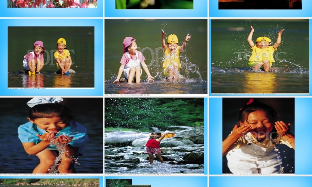 秋三年级语文上册《雨后》课件4 沪教版-沪教版小学三年级上册语文课件