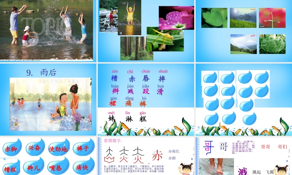 秋三年级语文上册《雨后》课件4 沪教版-沪教版小学三年级上册语文课件