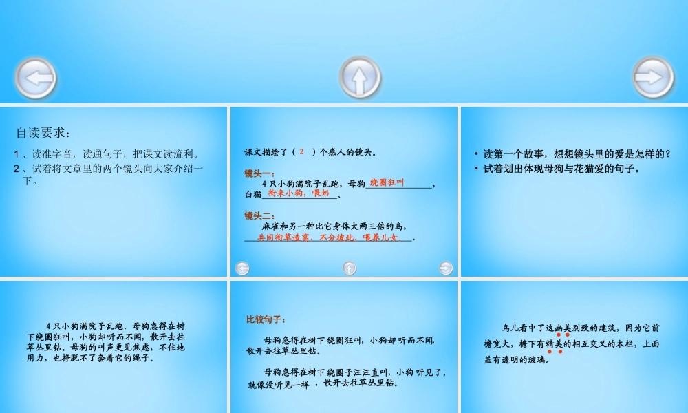 秋五年级语文上册《无言的爱》课件3 沪教版-沪教版小学五年级上册语文课件