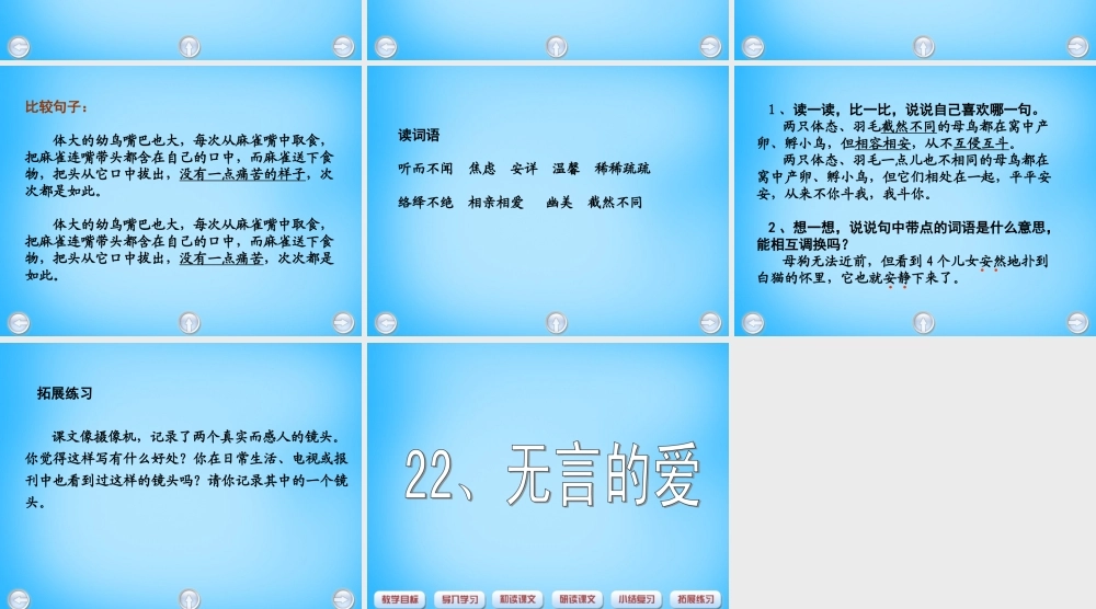 秋五年级语文上册《无言的爱》课件3 沪教版-沪教版小学五年级上册语文课件