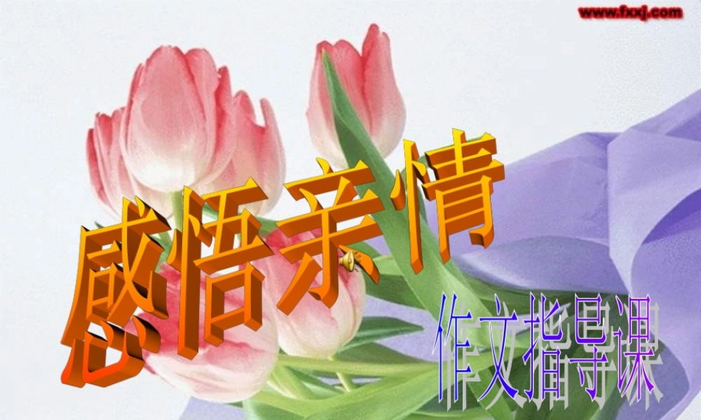 秋三年级语文上册《阅读链接 感受亲情》课件 冀教版-冀教版小学三年级上册语文课件