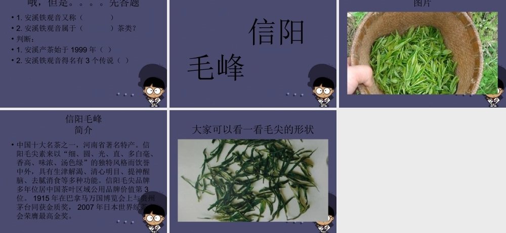 秋六年级语文上册《碧螺春》课件2 冀教版-冀教版小学六年级上册语文课件