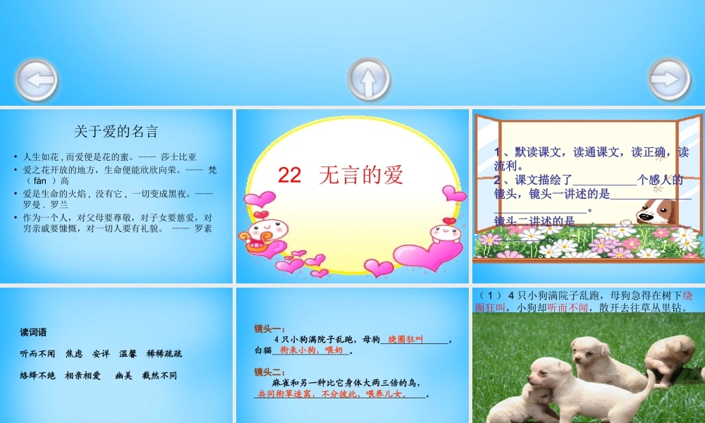 秋五年级语文上册《无言的爱》课件4 沪教版-沪教版小学五年级上册语文课件