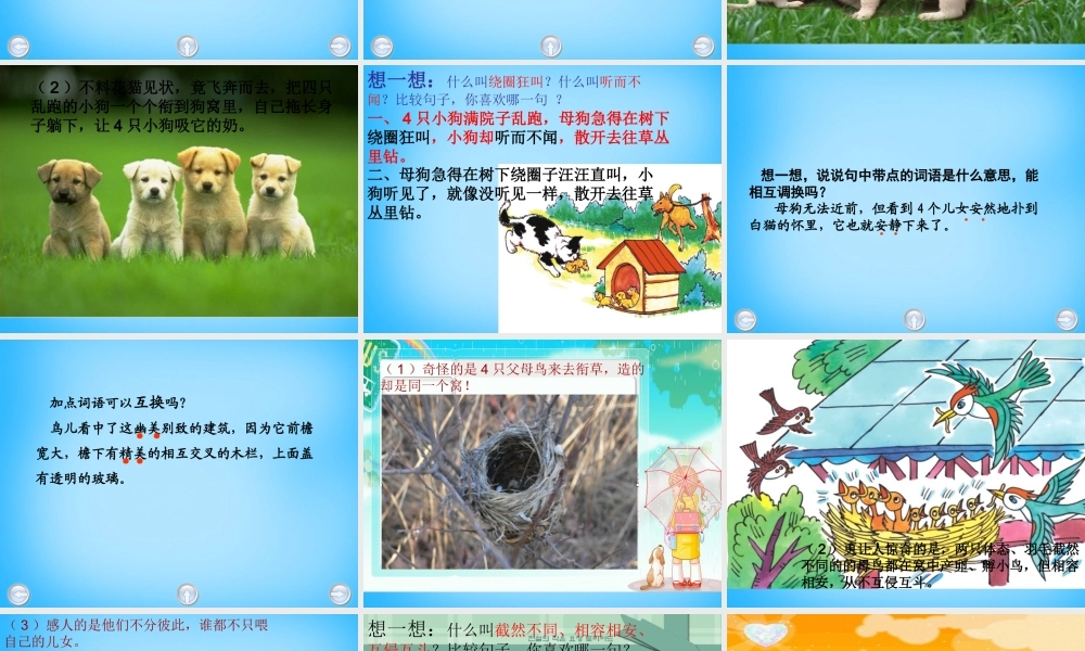 秋五年级语文上册《无言的爱》课件4 沪教版-沪教版小学五年级上册语文课件