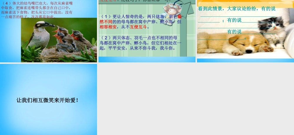 秋五年级语文上册《无言的爱》课件4 沪教版-沪教版小学五年级上册语文课件