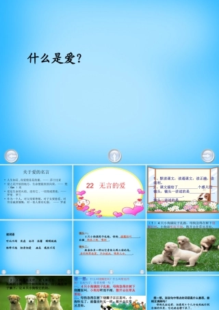 秋五年级语文上册《无言的爱》课件4 沪教版-沪教版小学五年级上册语文课件