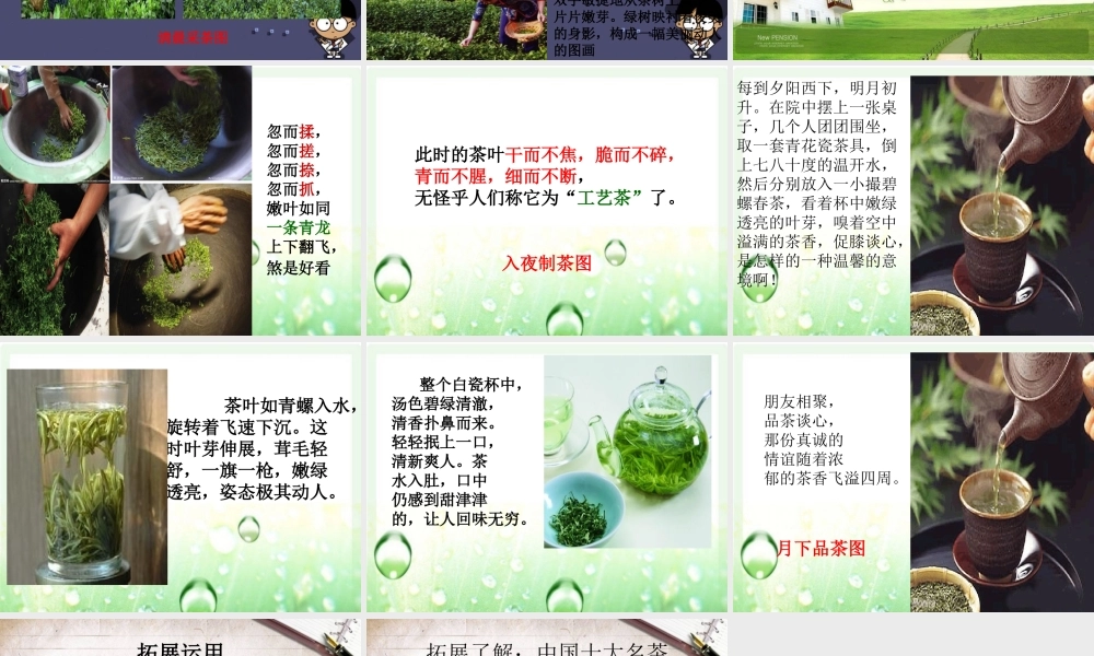 秋六年级语文上册《碧螺春》课件3 冀教版-冀教版小学六年级上册语文课件