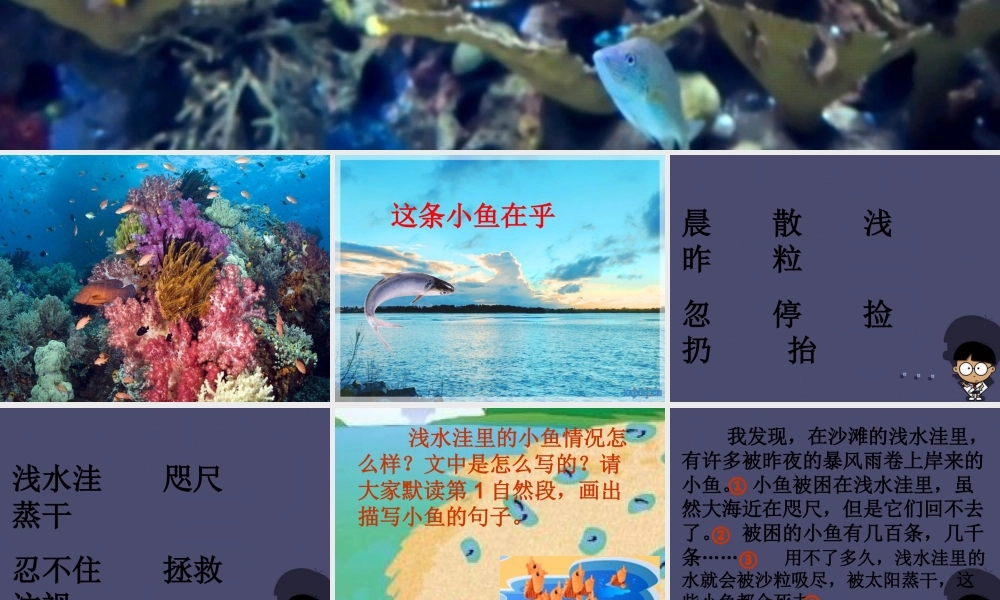 秋三年级语文上册《这条小鱼在乎》课件1 冀教版-冀教版小学三年级上册语文课件