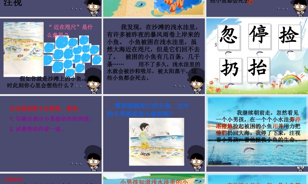 秋三年级语文上册《这条小鱼在乎》课件1 冀教版-冀教版小学三年级上册语文课件