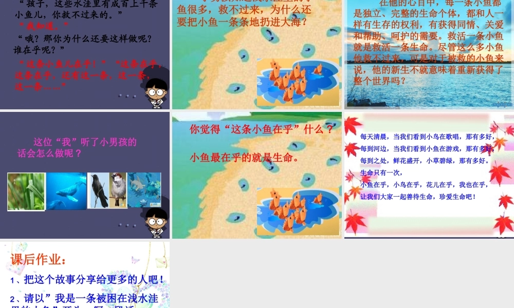 秋三年级语文上册《这条小鱼在乎》课件1 冀教版-冀教版小学三年级上册语文课件