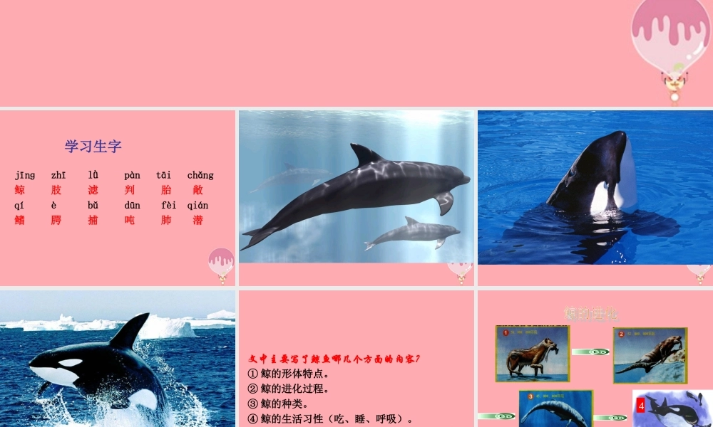 秋五年级语文上册 第9课 鲸课件1 新人教版-新人教版小学五年级上册语文课件