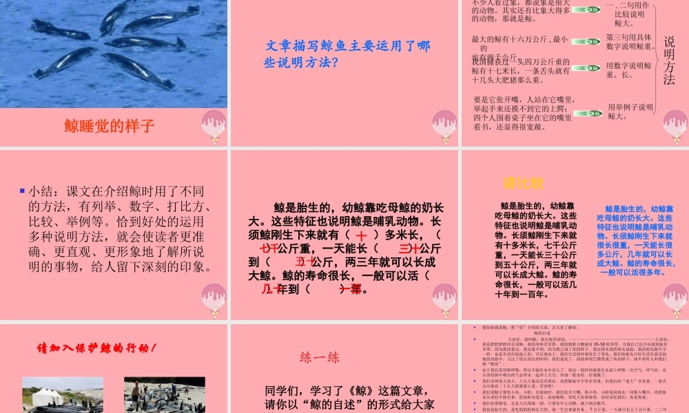 秋五年级语文上册 第9课 鲸课件1 新人教版-新人教版小学五年级上册语文课件