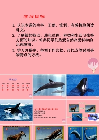秋五年级语文上册 第9课 鲸课件1 新人教版-新人教版小学五年级上册语文课件
