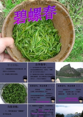 秋六年级语文上册《碧螺春》课件4 冀教版-冀教版小学六年级上册语文课件