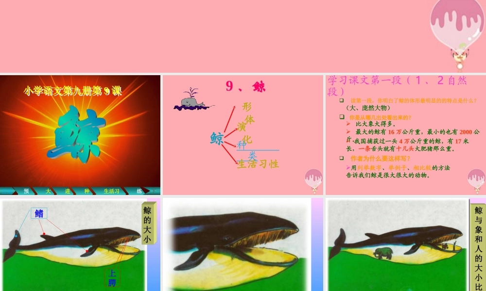 秋五年级语文上册 第9课 鲸课件2 新人教版-新人教版小学五年级上册语文课件