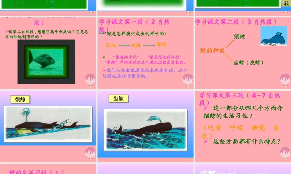 秋五年级语文上册 第9课 鲸课件2 新人教版-新人教版小学五年级上册语文课件