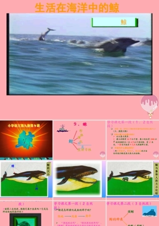 秋五年级语文上册 第9课 鲸课件2 新人教版-新人教版小学五年级上册语文课件