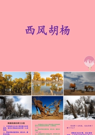 秋五年级语文上册 第9课 西风胡杨课件 语文S版-语文S版小学五年级上册语文课件