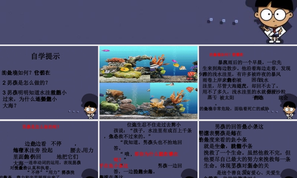 秋三年级语文上册《这条小鱼在乎》课件3 冀教版-冀教版小学三年级上册语文课件