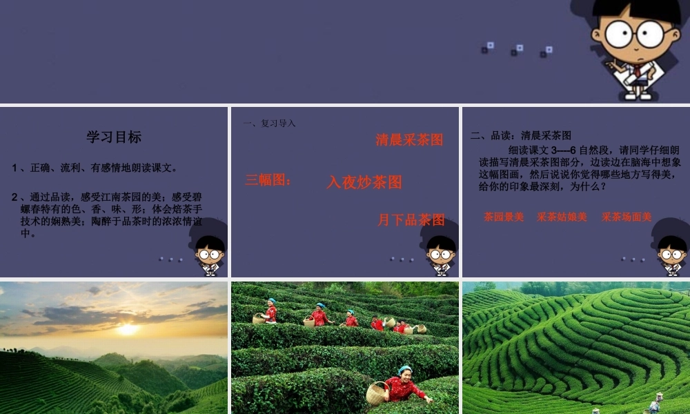 秋六年级语文上册《碧螺春》课件5 冀教版-冀教版小学六年级上册语文课件