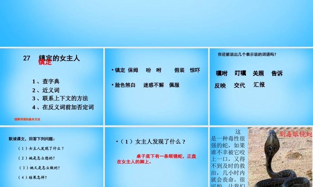 秋三年级语文上册《镇定的女主人》课件1 沪教版-沪教版小学三年级上册语文课件
