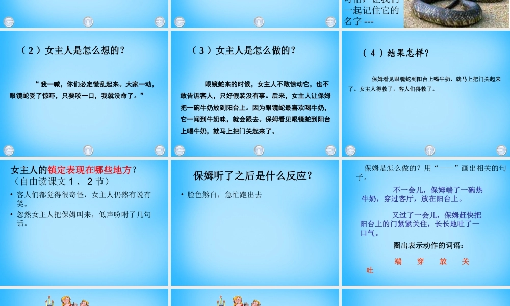 秋三年级语文上册《镇定的女主人》课件1 沪教版-沪教版小学三年级上册语文课件