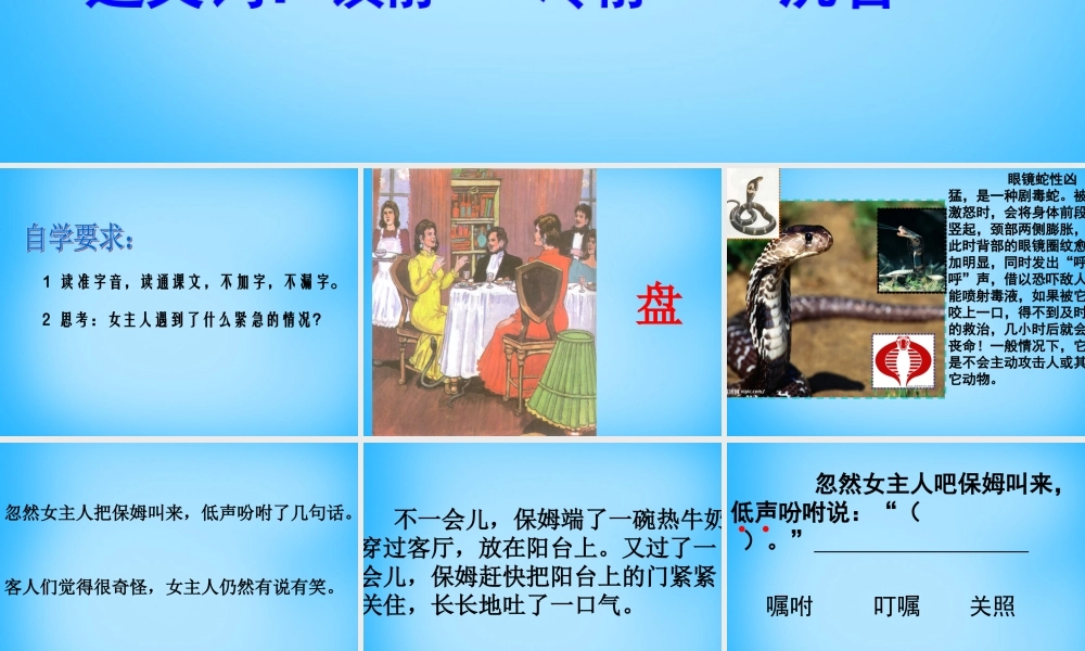 秋三年级语文上册《镇定的女主人》课件2 沪教版-沪教版小学三年级上册语文课件