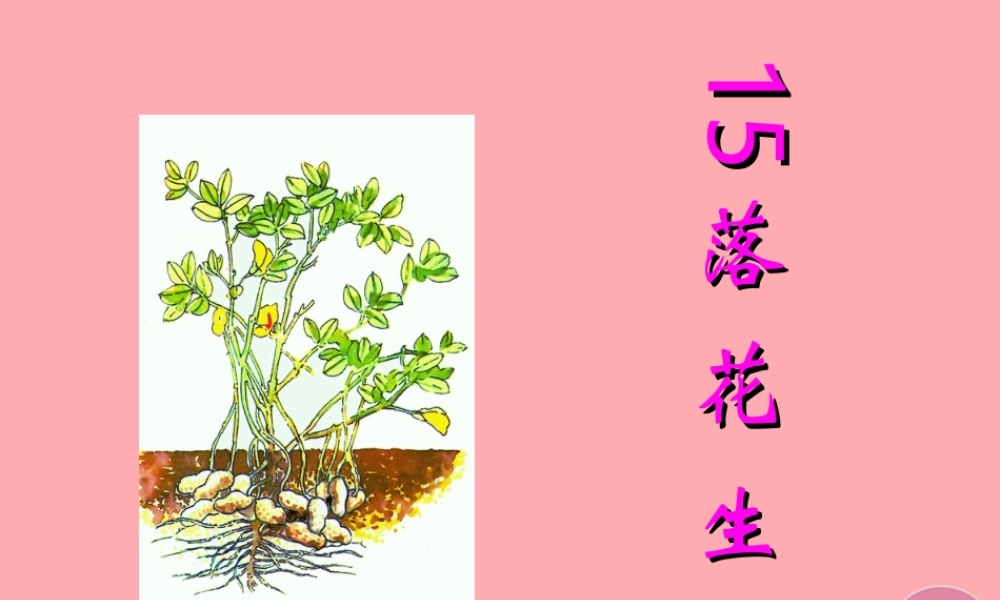 秋五年级语文上册 第15课 落花生课件2 新人教版-新人教版小学五年级上册语文课件