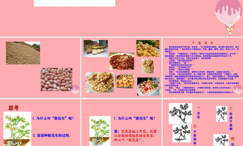秋五年级语文上册 第15课 落花生课件2 新人教版-新人教版小学五年级上册语文课件