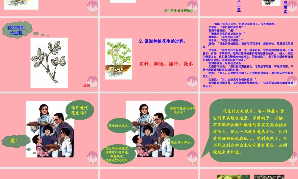 秋五年级语文上册 第15课 落花生课件2 新人教版-新人教版小学五年级上册语文课件