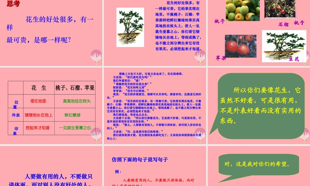 秋五年级语文上册 第15课 落花生课件2 新人教版-新人教版小学五年级上册语文课件