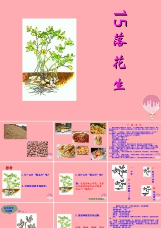 秋五年级语文上册 第15课 落花生课件2 新人教版-新人教版小学五年级上册语文课件