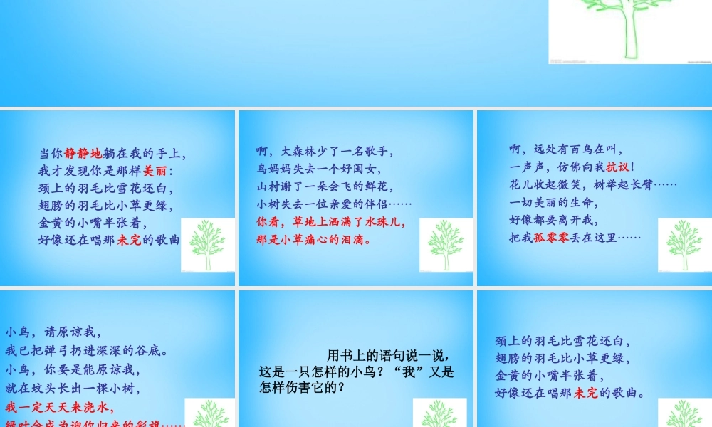 秋五年级语文上册《小鸟，请原谅我》课件1 沪教版-沪教版小学五年级上册语文课件