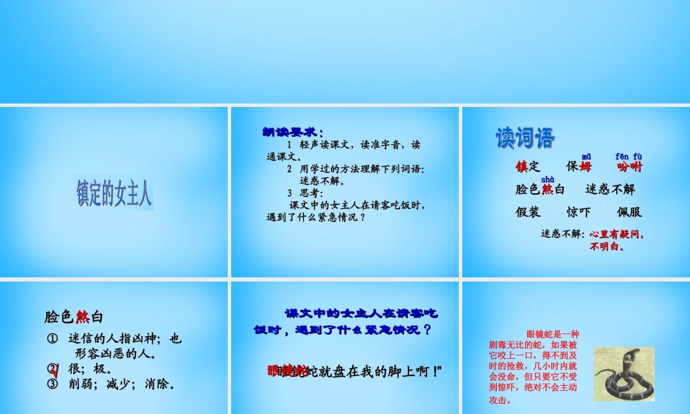 秋三年级语文上册《镇定的女主人》课件3 沪教版-沪教版小学三年级上册语文课件