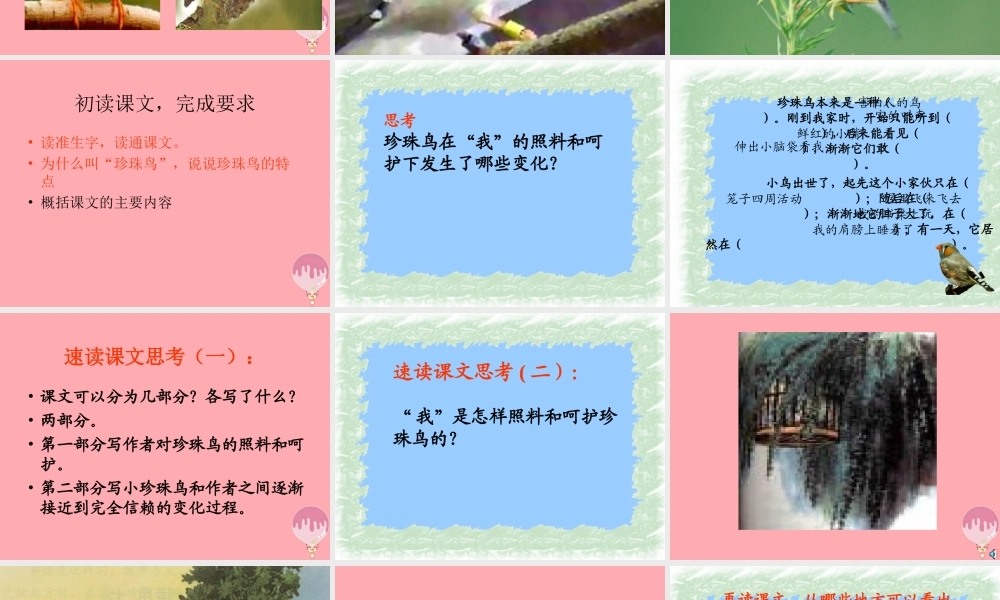 秋五年级语文上册 第16课 珍珠鸟课件1 新人教版-新人教版小学五年级上册语文课件