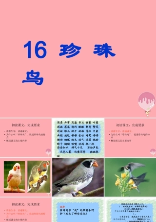 秋五年级语文上册 第16课 珍珠鸟课件1 新人教版-新人教版小学五年级上册语文课件