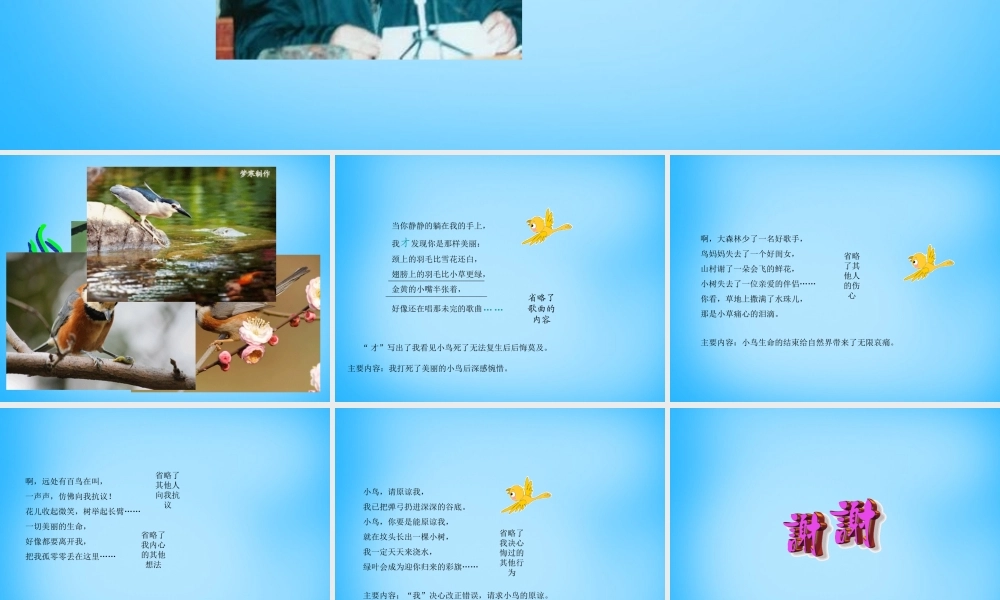 秋五年级语文上册《小鸟，请原谅我》课件2 沪教版-沪教版小学五年级上册语文课件