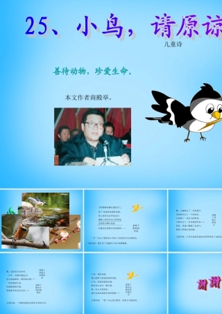 秋五年级语文上册《小鸟，请原谅我》课件2 沪教版-沪教版小学五年级上册语文课件
