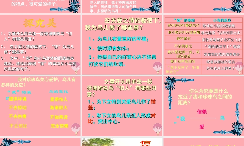 秋五年级语文上册 第16课 珍珠鸟课件2 新人教版-新人教版小学五年级上册语文课件