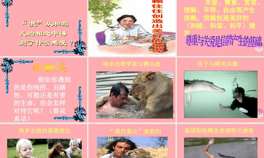 秋五年级语文上册 第16课 珍珠鸟课件2 新人教版-新人教版小学五年级上册语文课件