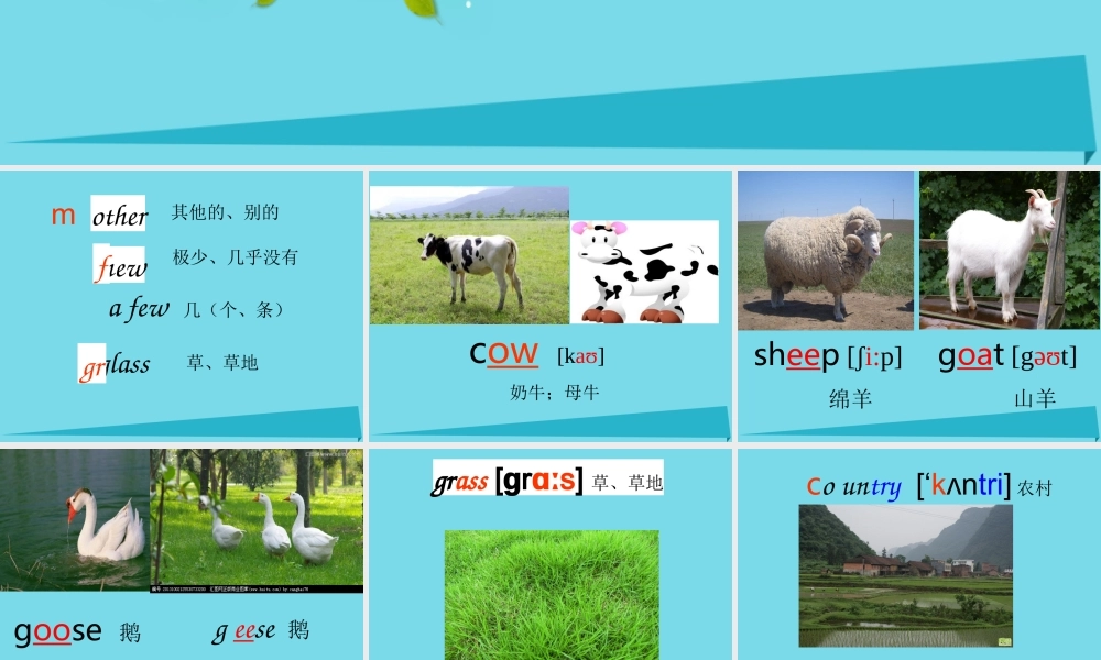 秋六年级英语上册 Unit 1 What are those farmers doing课件1 广州版-广州版小学六年级上册英语课件