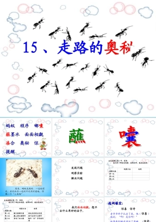 秋三年级语文上册《走路的奥秘》课件1 沪教版-沪教版小学三年级上册语文课件