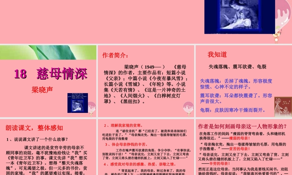 秋五年级语文上册 第18课 慈母情深课件2 新人教版-新人教版小学五年级上册语文课件