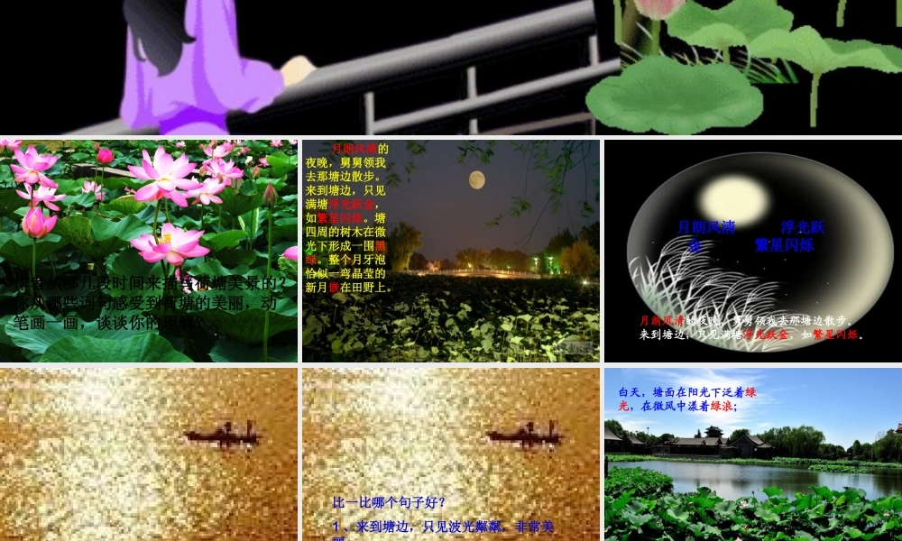 秋六年级语文上册《荷塘旧事》课件1 北师大版-北师大版小学六年级上册语文课件