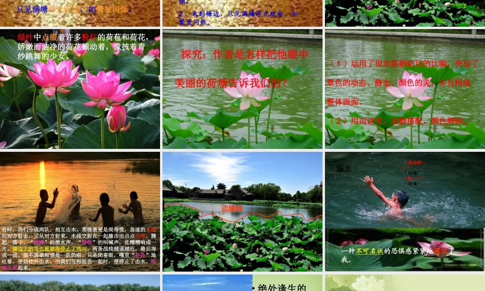 秋六年级语文上册《荷塘旧事》课件1 北师大版-北师大版小学六年级上册语文课件