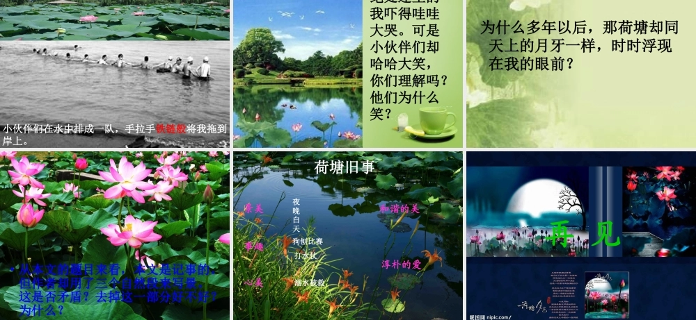 秋六年级语文上册《荷塘旧事》课件1 北师大版-北师大版小学六年级上册语文课件