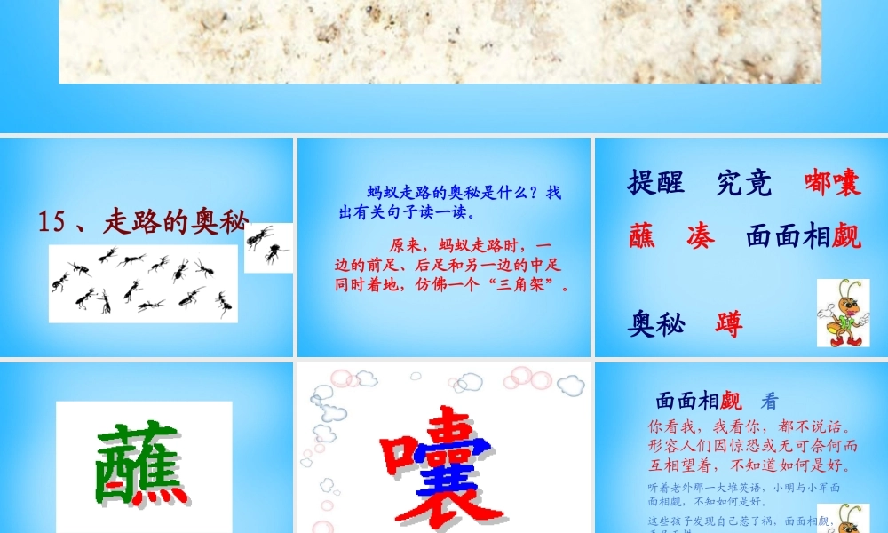 秋三年级语文上册《走路的奥秘》课件2 沪教版-沪教版小学三年级上册语文课件