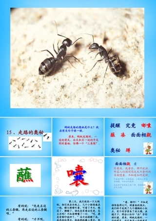 秋三年级语文上册《走路的奥秘》课件2 沪教版-沪教版小学三年级上册语文课件